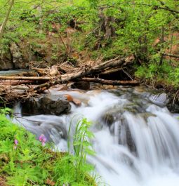 Waterfall at state park