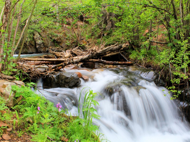 Summertime shot of a small waterfall along Clear Creek in Cimarron Canyon State Park in northern New Mexico