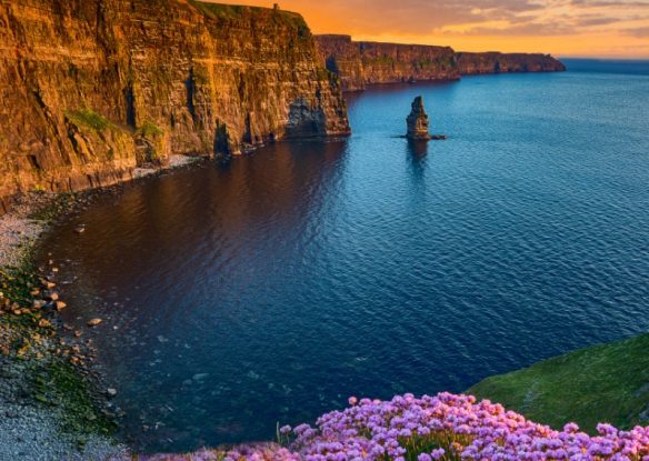 blue water with purple flowers and cliffs at sunset