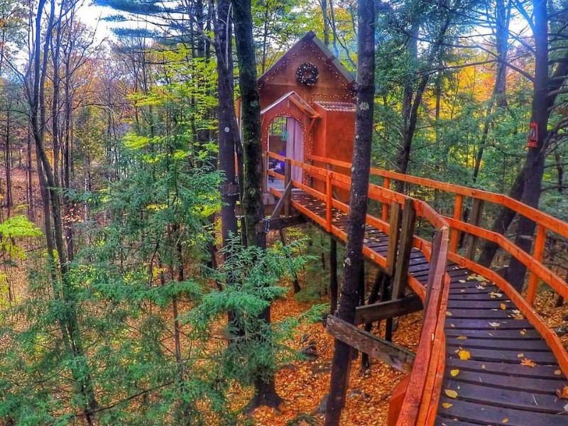 Treetop Sanctuary