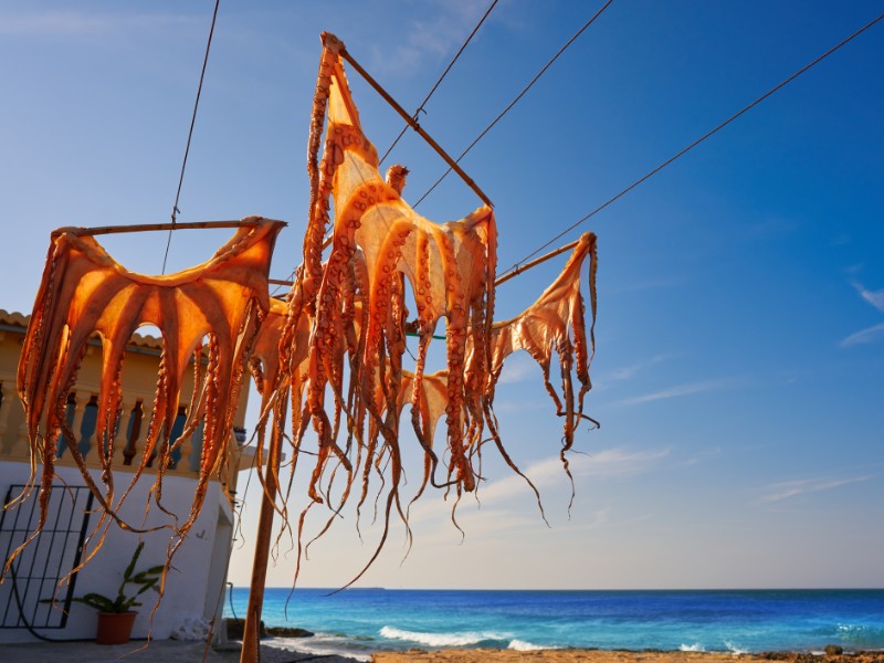 Octopus drying in Denia, Spain