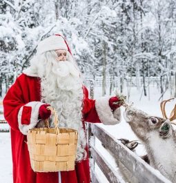 Santa Claus holding basket and feeding reindeer