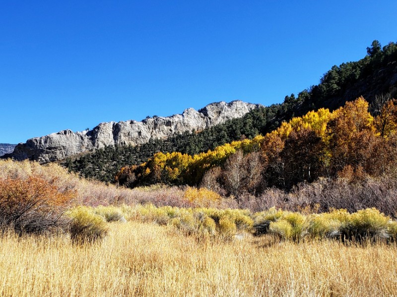 View at Cave Lake State Park