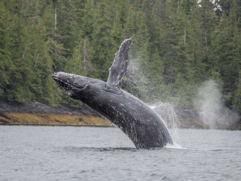 Craig, Alaska