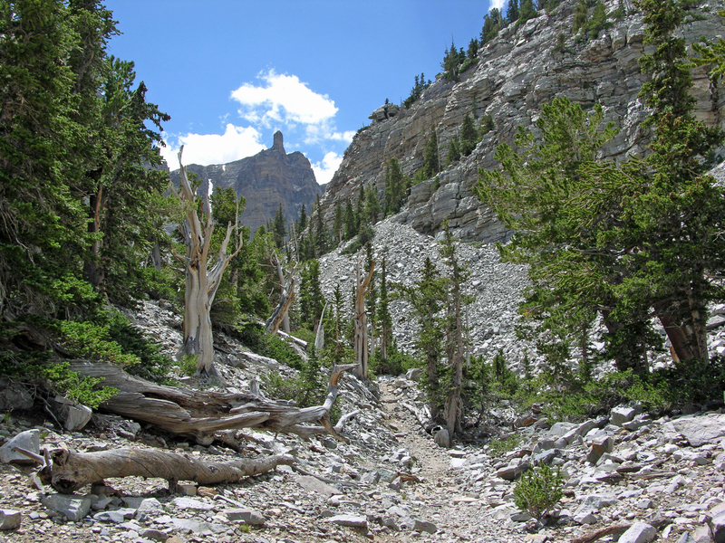 Landscape at Great Basin National Park