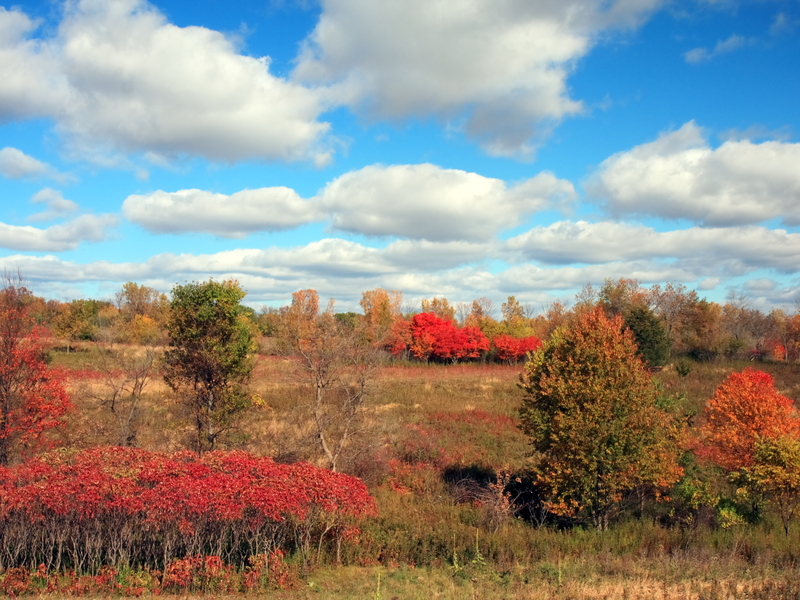 Fall colors in Frontenac state park