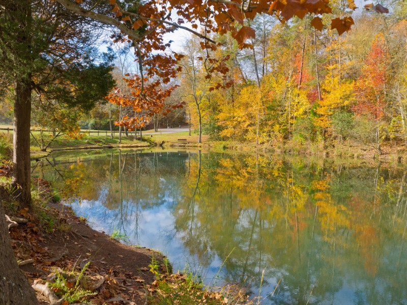 Lake view at Big Ridge State Park