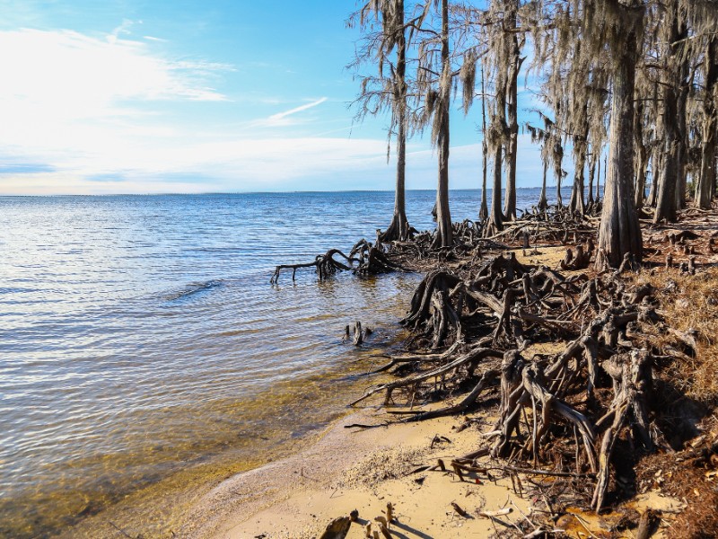 Fontainebleau State Park