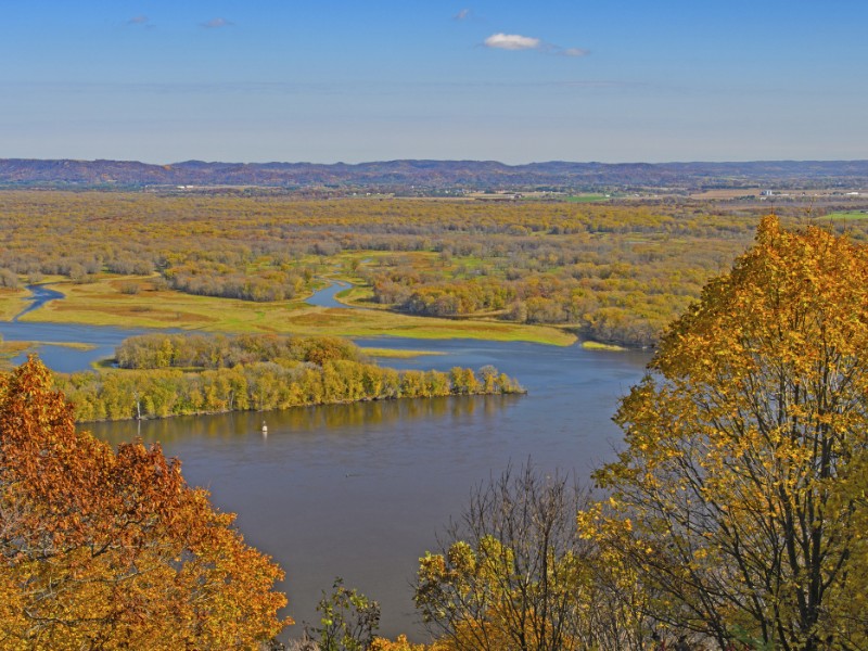 River Wetlands in the Fall