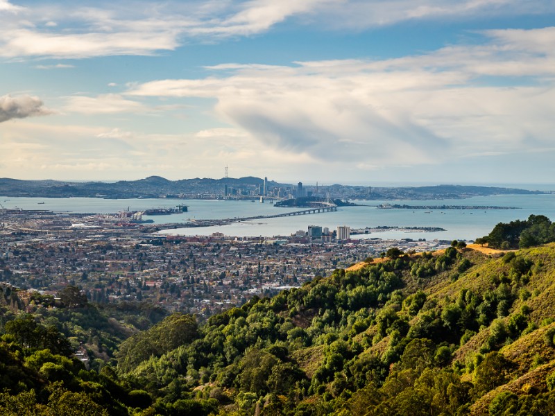 Hiking along the Vollmer Peak Trail in Tilden Park and the Oakland Hills.