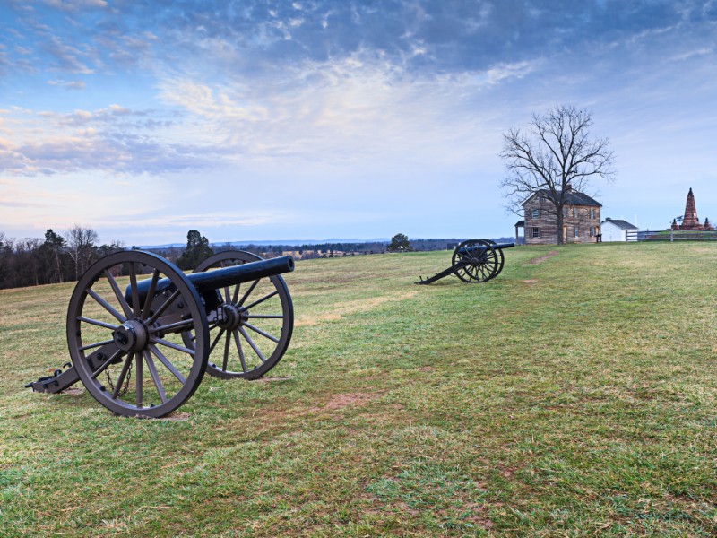 Landscape of Henry Hill house with historic canons