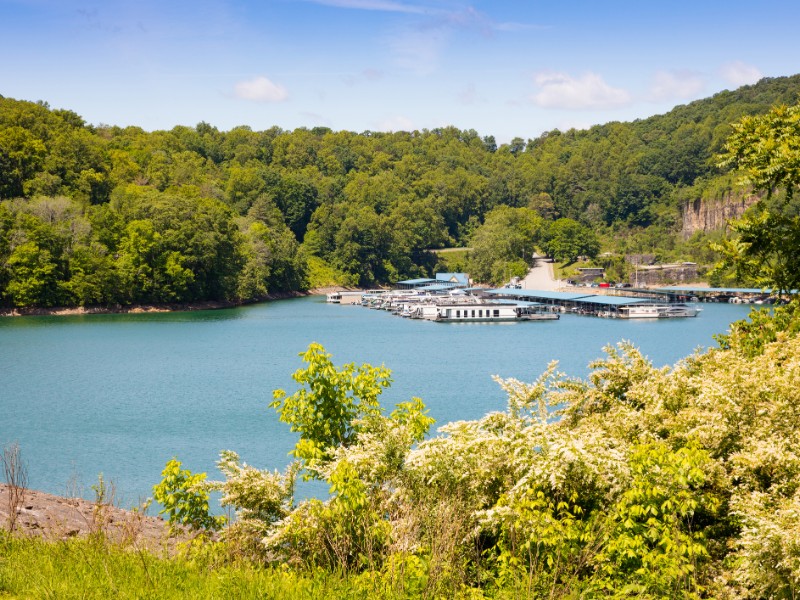 View of the lake and marina above the dam at Norris Dam State Park