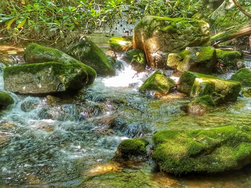 Creek at Lamar Alexander Rocky Fork State Park