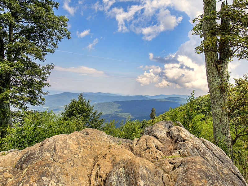 View in Shenandoah National Park