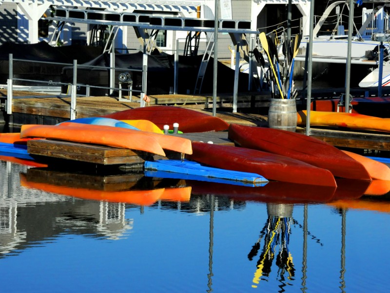 Boats at Marina at Table Rock State Park