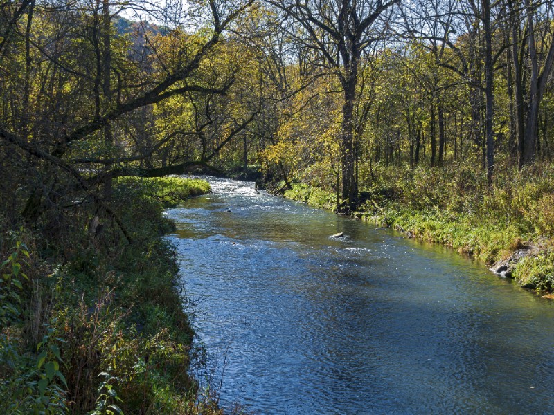 River and woodlands at Whitewater State Park 