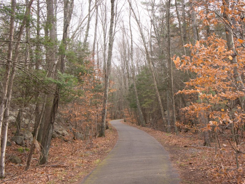 Fall, a path in Wompatuck State Park