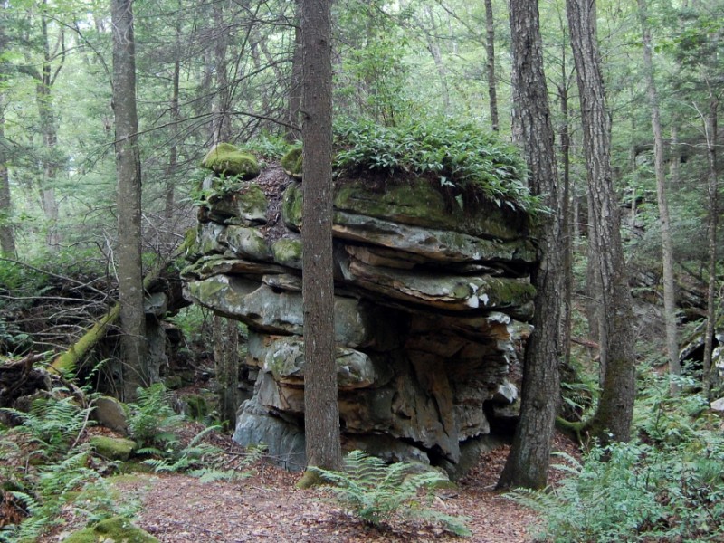 Rocks at Beartown State Park