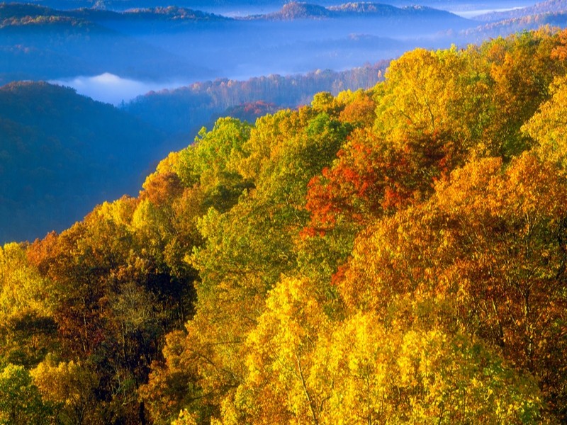 Pinnacle Rock State Park in West Virginia at sunrise
