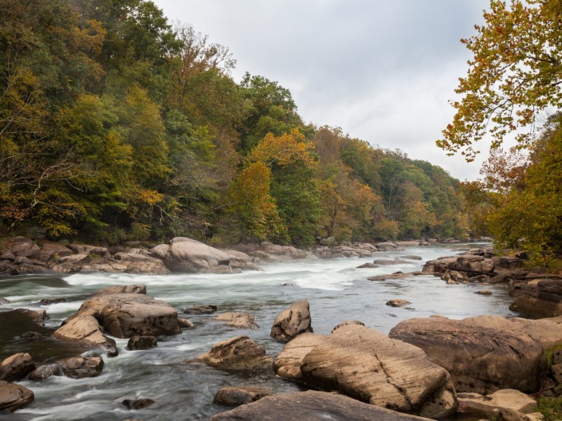 Tygart Valley River surrounded by trees at daylight in the Valley Falls State Park