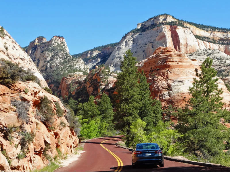 scenic drive zion