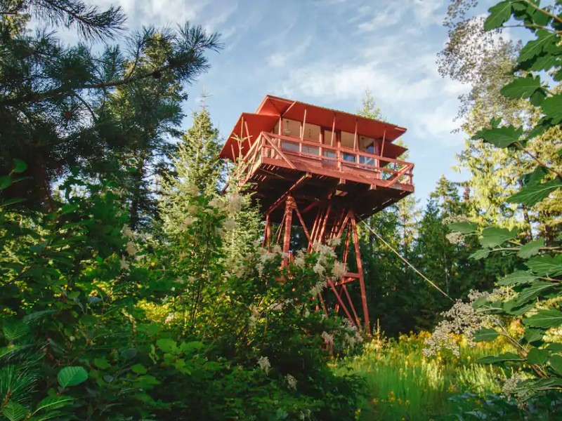 Crystal Peak Lookout in the Trees