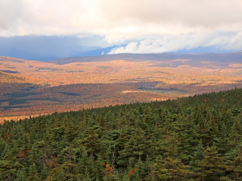 Green Mountain National Forest in Fall from Stratton Mountain