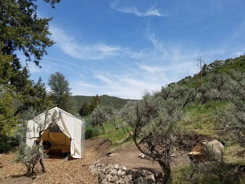 Junipers Rest Tent Cabin