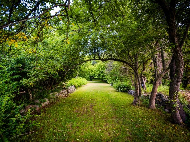 Trail at Odiorne Point State Park