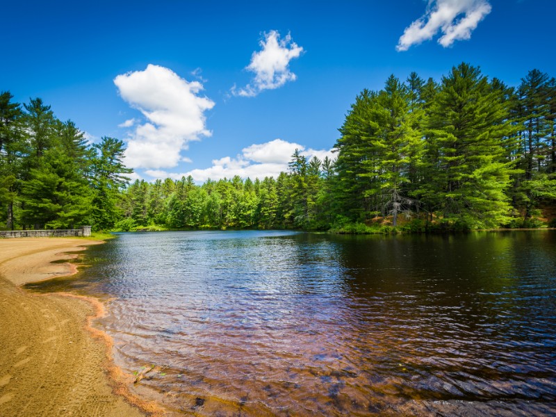 Beach on a lake at Bear Brook State Park