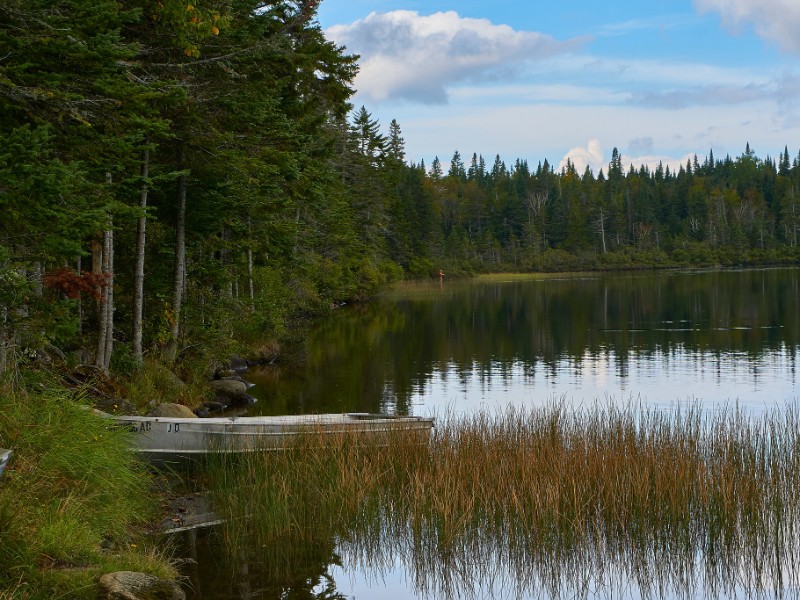 Water at Coleman State Park