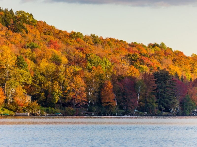 Autumn foliage in Vermont, Elmore State Park