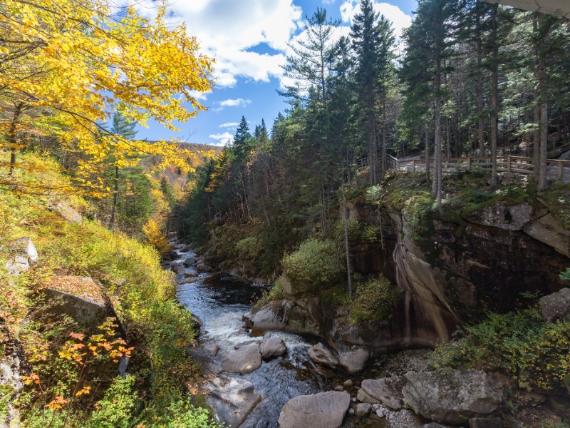 Stream in Franconia Notch State Park