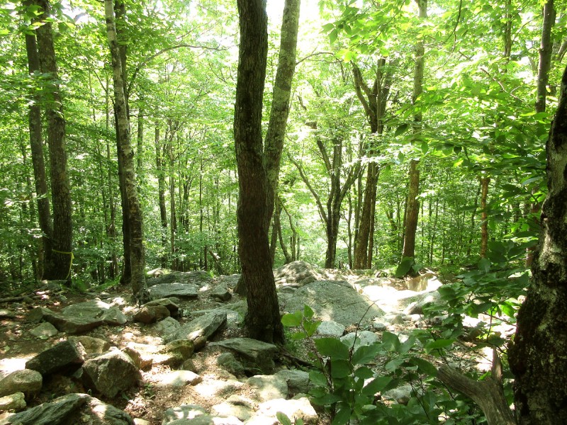 Monadnock State Park, NH