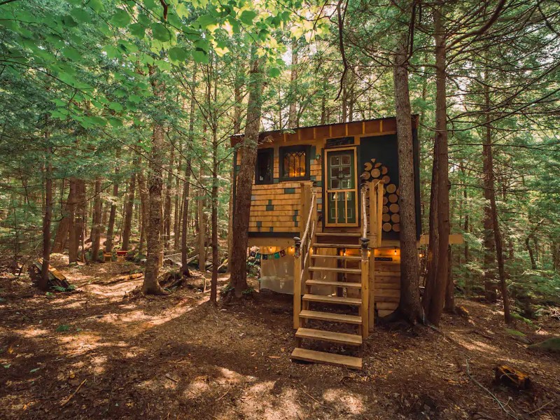 Entrance of Lovely Treehouse in the Woods next to Stream