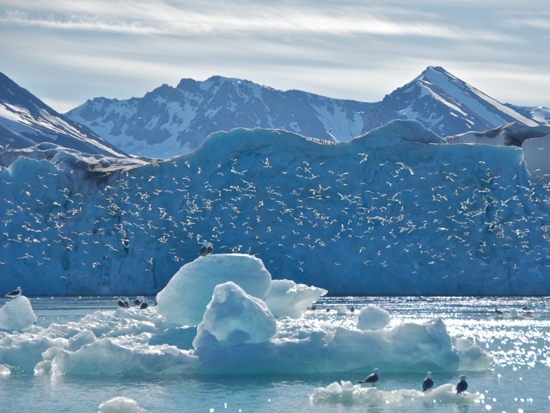 Monaco Glacier in Svalbard, Norway