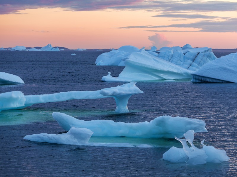 Icebergs floating off Fogo Island in the evening light