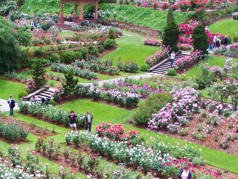 Portland International Rose Test Garden