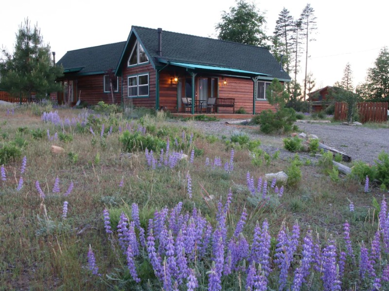 Yosemite Hilltop Cabins