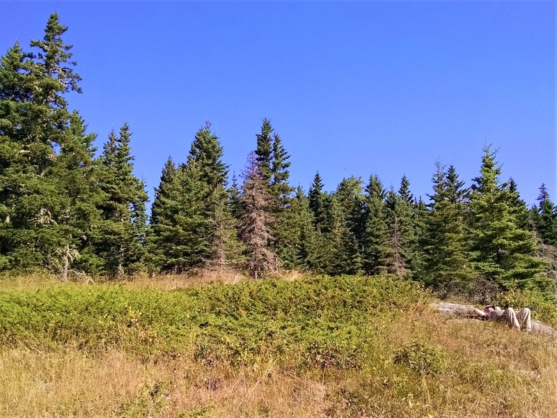 Man reclines in sun on Isle Royale National Park