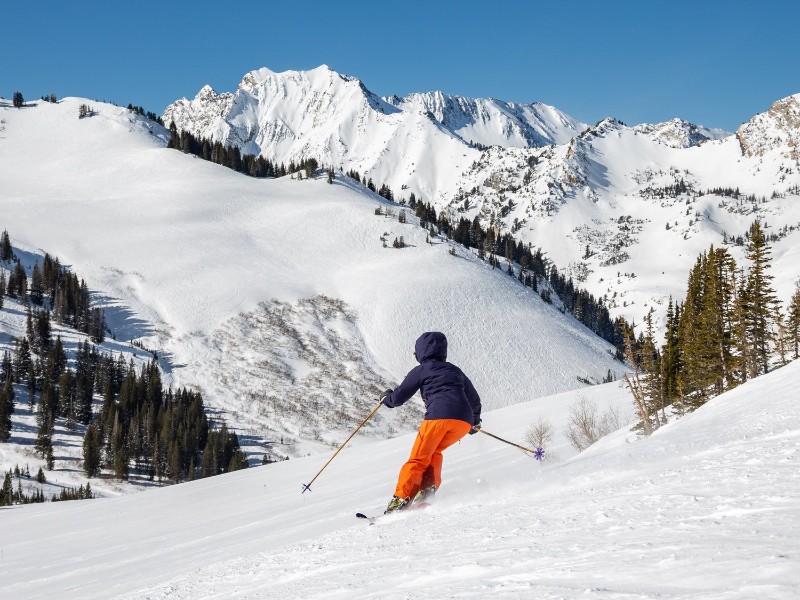 Alta Ski Area