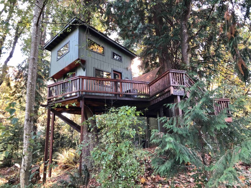 Treehouse with Panoramic Views