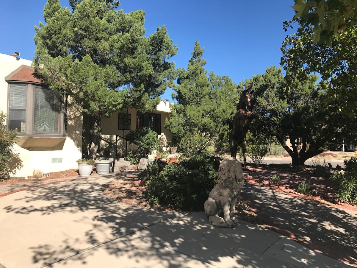 Trees in Yard at Copper Horse Airbnb