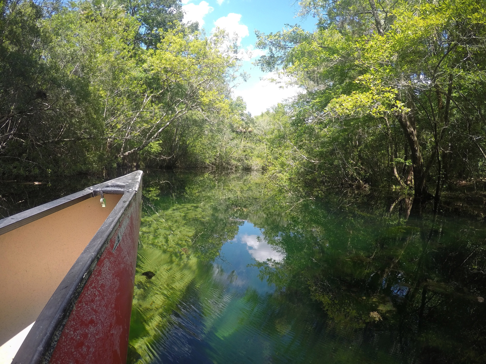 Econfina Creek