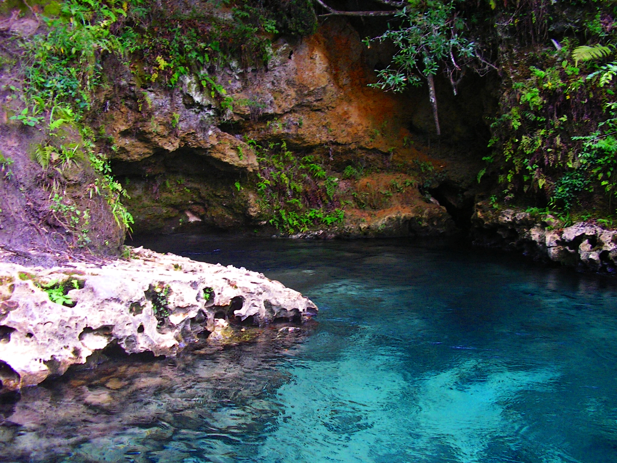 Emerald Spring