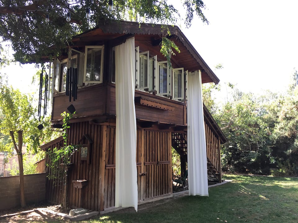 Exterior of Old Fig Garden Treehouse