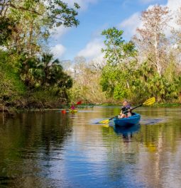 person kayaking in wekiwa springs