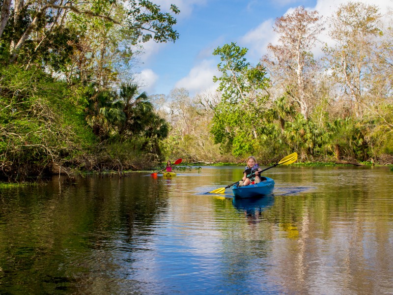 Wekiwa Springs