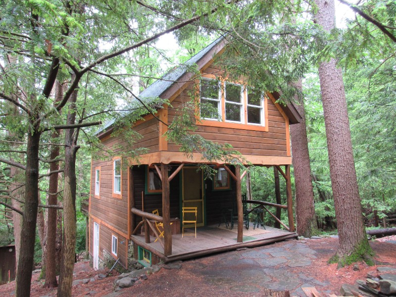 Charming Chestnut Cabin in Woods