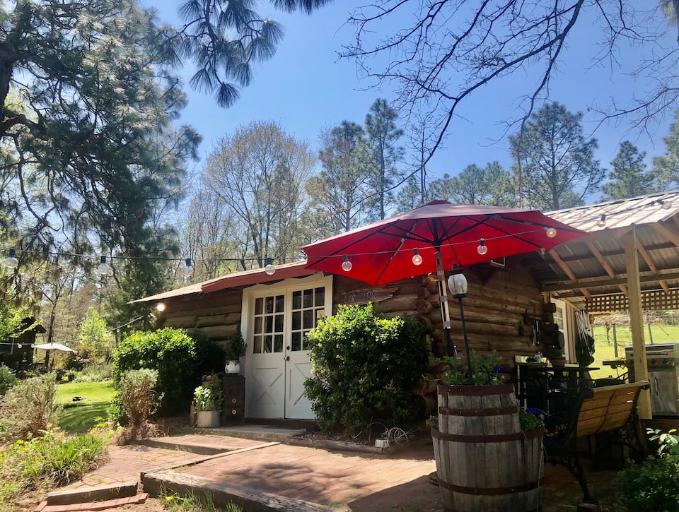 Congaree Vines Log Cabin